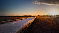 The Clara Bog Offaly