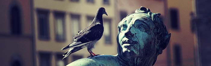 20 Classic Travel Scams